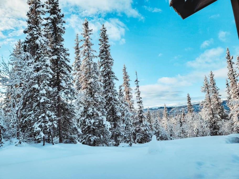 Peaceful Oasis. Panoramic Forest- & Mountain View. Sauna. Beitostolen Exterior photo